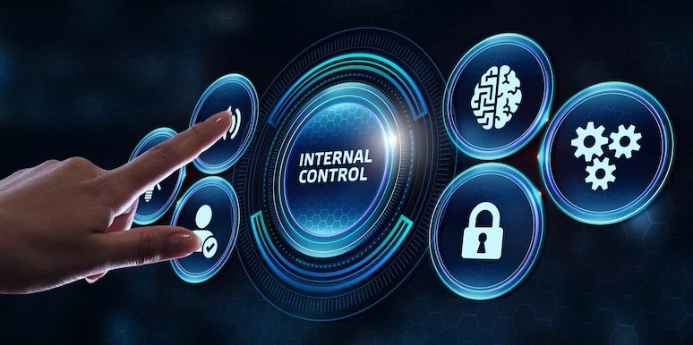 Internal Controls & Accounting Software